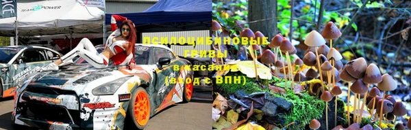 гидропоника Балахна